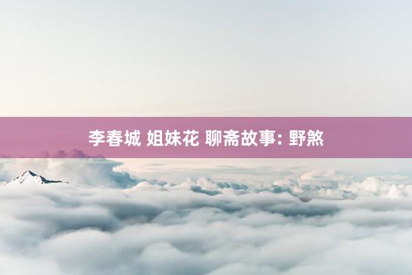 李春城 姐妹花 聊斋故事: 野煞