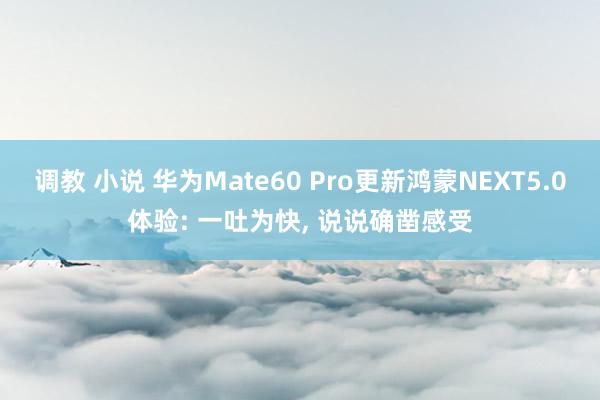 调教 小说 华为Mate60 Pro更新鸿蒙NEXT5.0体验: 一吐为快， 说说确凿感受