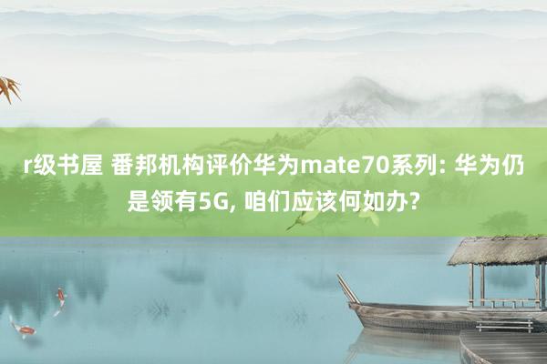 r级书屋 番邦机构评价华为mate70系列: 华为仍是领有5G， 咱们应该何如办?